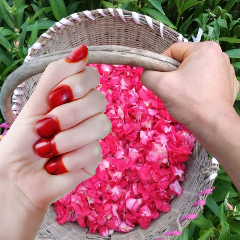 Erkekler ve Kadınlar İçin 40g  - Nail Art For Men incelemesi ve fiyatı